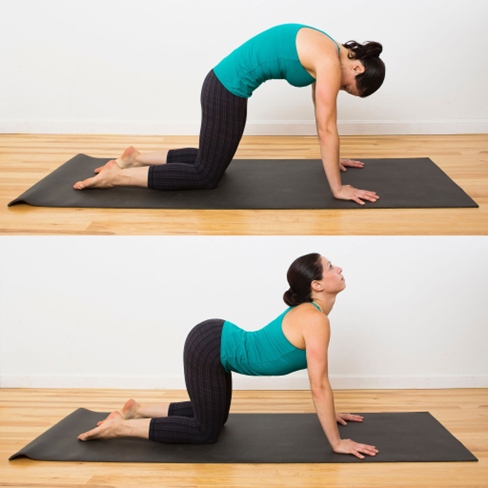 6 Best Poses to Aid You in Warming Up for Yoga
