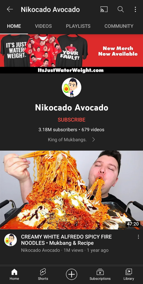 Nikocado Avocado You Tube