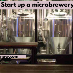 Start up a microbrewery