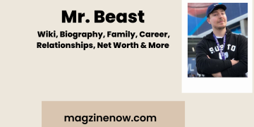 Mr. Beast - Wiki, Biography, Family, Career, Relationships, Net Worth & More