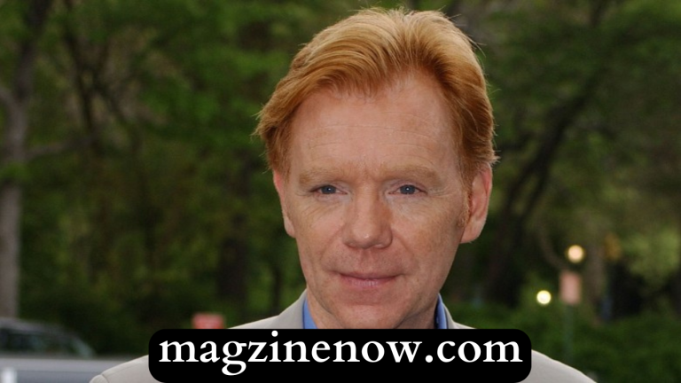 David Caruso - Wiki, Biography, Family, Relationships, Career, Net Worth & More