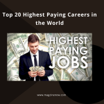 Top 20 Highest Paying Careers in the World