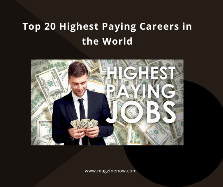 Top 20 Highest Paying Careers in the World