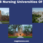 Top Nursing Universities Of Usa 