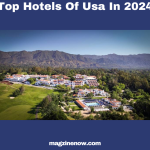 Top Hotels Of Usa In 2024