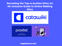 Top Auction Sites