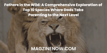 Fathers in the Wild: A Comprehensive Exploration of Top 10 Species Where Dads Take Parenting to the Next Level
