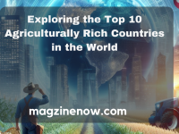Agriculturally Rich Countries in the World