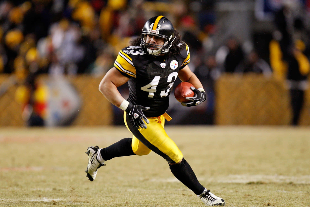 Troy Polamalu