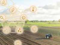 Best Practices for ERP Implementation in Agriculture Businesses