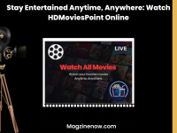 Watch HDMoviesPoint Online: Stay Entertained Anytime, Anywhere