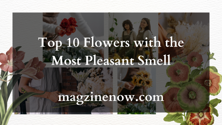 Top 10 Flowers with the Most Pleasant Smell