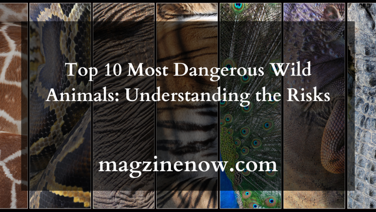 Top 10 Most Dangerous Wild Animals: Understanding the Risks