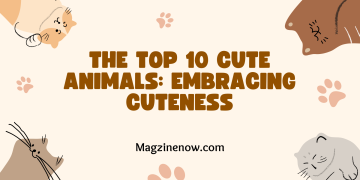 The Top 10 Cute Animals: Embracing Cuteness