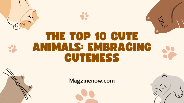 The Top 10 Cute Animals: Embracing Cuteness