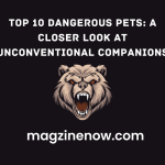 Top 10 Dangerous Pets: A Closer Look at Unconventional Companions