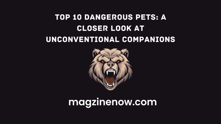 Top 10 Dangerous Pets: A Closer Look at Unconventional Companions