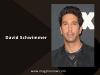 David Schwimmer