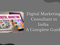 Digital Marketing Consultant in India: